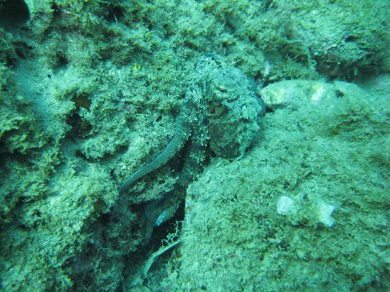 2009-09-09 11-34-34S.JPG